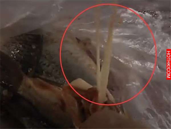 過年前看到「這種魚」千萬別吃，不然真的死定了！快告訴給你的家人知道，再晚就來不及 ...