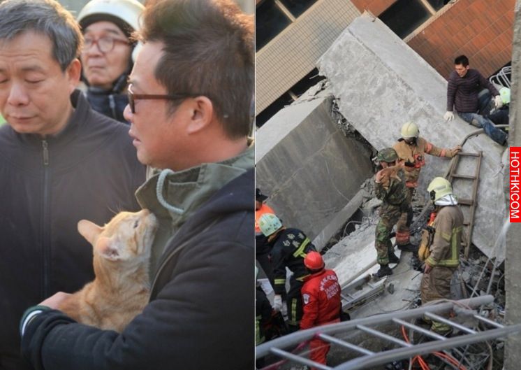 小年夜地牛翻身，橘貓「喵喵」不願逃離！死守7歲小主人身旁等救援，但大樓卻應聲倒塌. ...