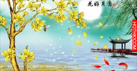 2016是最神奇的一年，千年難遇，誰看誰有福！