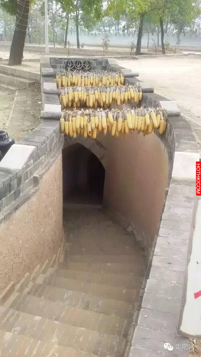 中國最神奇的村莊！見樹不見村，進村不見房，聞聲不見人！