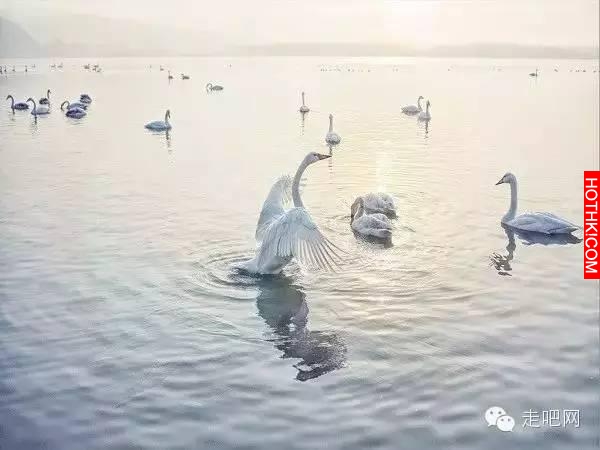 中國最神奇的村莊！見樹不見村，進村不見房，聞聲不見人！
