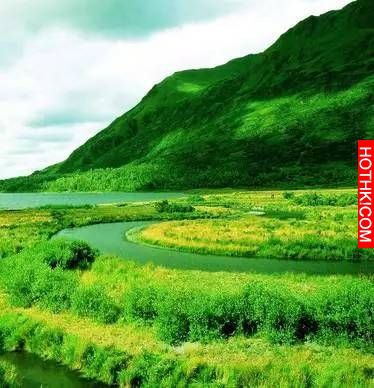 LINE有個功能可以保護眼睛！但是90％的人都不知道…