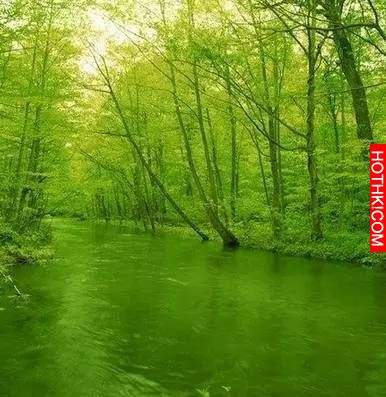 LINE有個功能可以保護眼睛！但是90％的人都不知道…