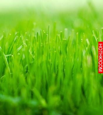 LINE有個功能可以保護眼睛！但是90％的人都不知道…
