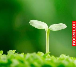 LINE有個功能可以保護眼睛！但是90％的人都不知道…