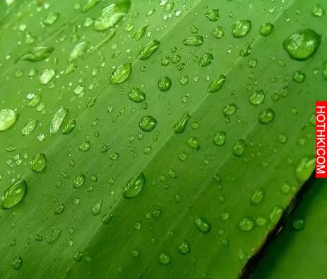 LINE有個功能可以保護眼睛！但是90％的人都不知道…