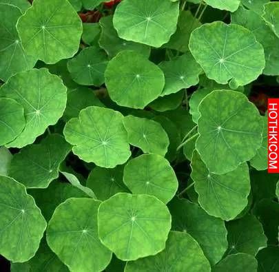 LINE有個功能可以保護眼睛！但是90％的人都不知道…