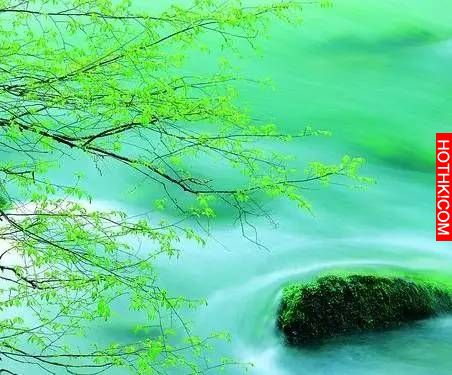 LINE有個功能可以保護眼睛！但是90％的人都不知道…