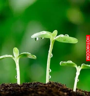 LINE有個功能可以保護眼睛！但是90％的人都不知道…