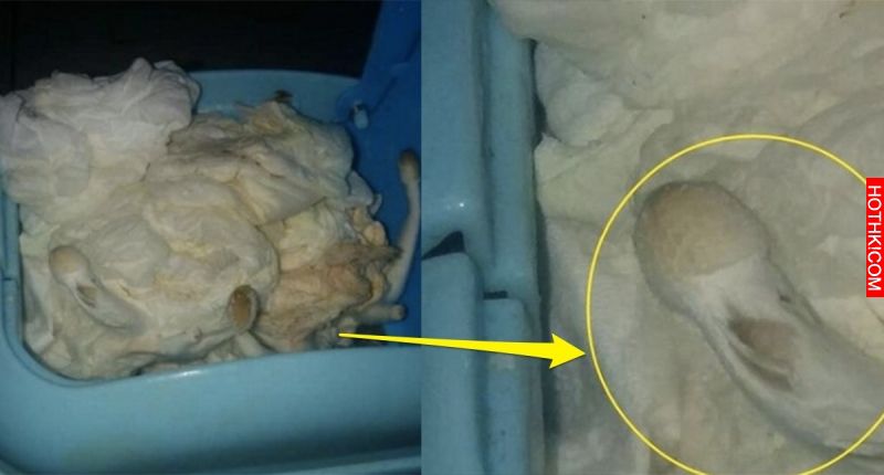 弟弟拜託她幫忙倒垃圾，沒想到她居然看到一坨噁爛的東西！驚問「這些怎麼來的」最後的 ...