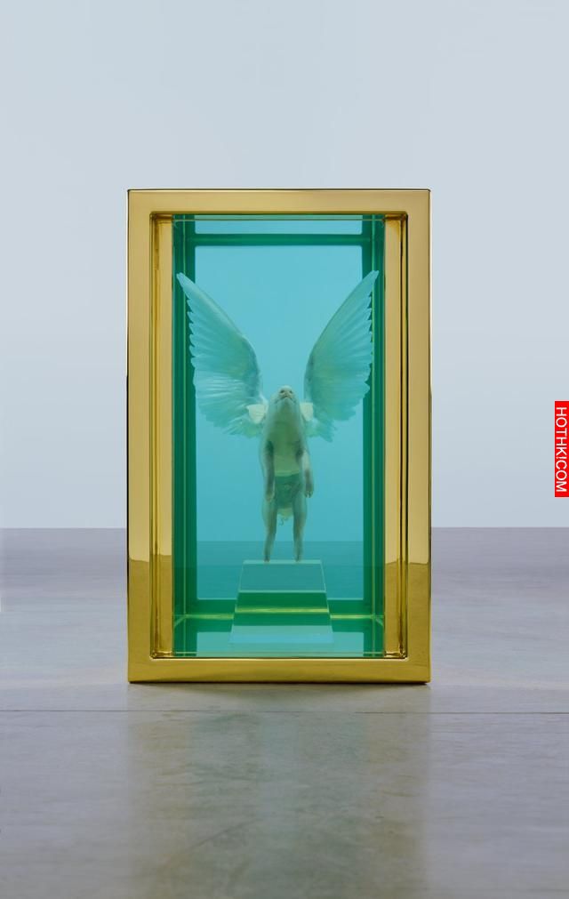 富豪花了800萬美元收藏鯊魚屍體，結果翻了好幾倍！