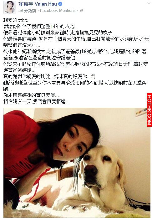 「許如芸」最親愛的寶貝過世了...「總有一天再相逢」，她崩潰寫下「一段話」...大家徹 ...