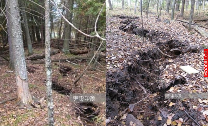 地上的神秘裂縫中傳來一陣陣金屬的敲擊聲，男子把森林裂縫挖開後，看到『這一幕』讓他 ...