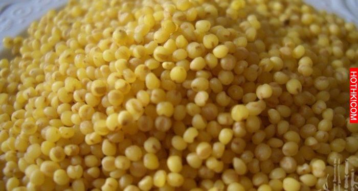 小米這樣吃，比你吃燕窩魚翅還養生100倍！