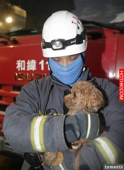 搜救已經邁入第六天,I棟7樓卻掉出了一個「奇蹟」讓搜救人員立即改變了整個搜查方向! ... 搜救已經邁入第六天,I棟7樓卻掉出了一個「奇蹟」讓搜救人員立即改變了整個搜查方向! ...