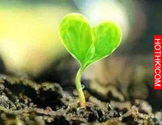 懂得了因果，就改變了命運！只有當你無所求時，才會無所不有！ ...