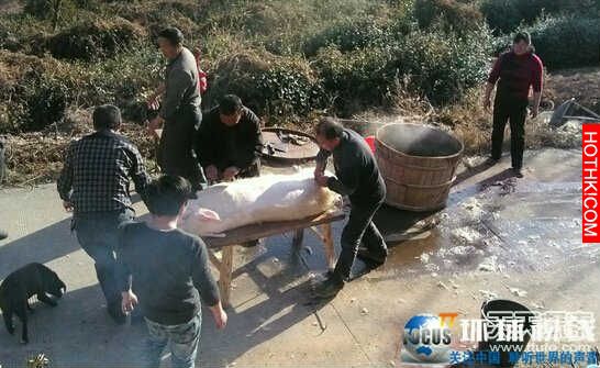 恐怖注意！八大「靈異凶物」千萬不要隨便亂碰，容易厄運上身，但第三點太容易遇到了阿 ...