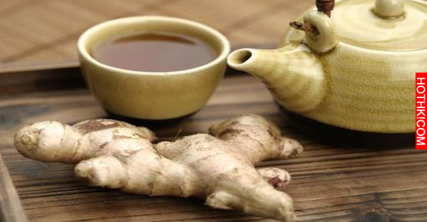 醫生宣布要安樂死的消息，沒想到牠的玩伴「大黑」竟然「這麼做」，讓大家都哭了... ...