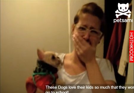 女主人對法鬥犬說了「我愛你」...沒想到狗狗竟然回了「這句話」... ...