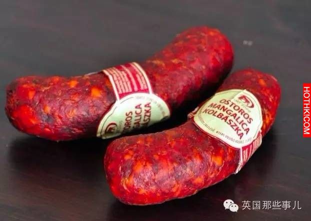 牠是差點就被英國人吃到絕種的神獸！只要養一頭你就會感覺同時擁有了豬羊狗！牠就是.. ...