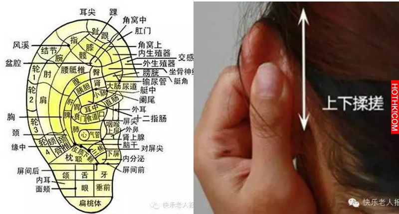 99%的都不知道！原來身體「這個地方」愈摸愈長壽...沒事多摸摸！！！ ...