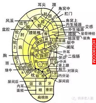 中醫說，這個地方越摸越長壽，你一定想不到！