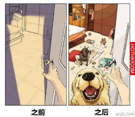 自從有了「他」，我在家裡的地位就一天不如一天了...爸媽竟然對我說「這句話」！到底 ...