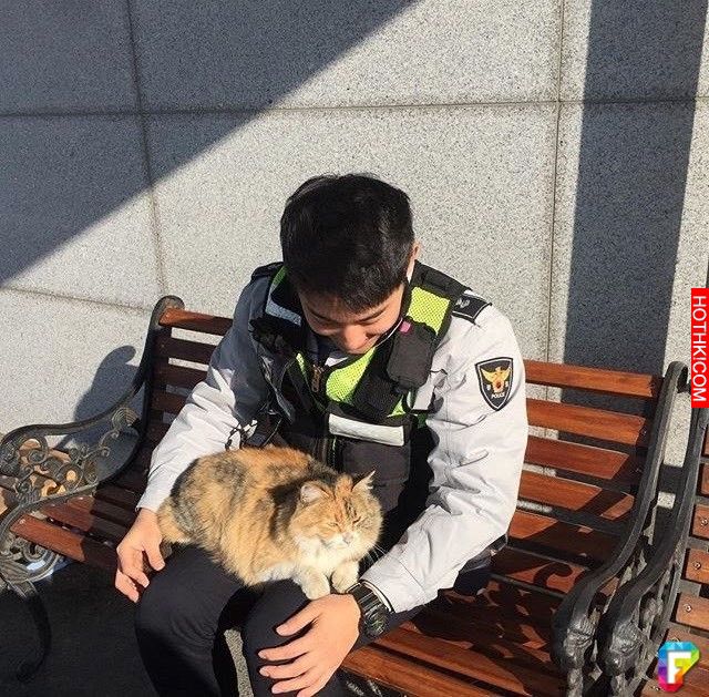 這隻流浪貓因為天氣太冷走進派出所取暖，接下來發生的超暖一幕讓大家都讃爆了！ ...