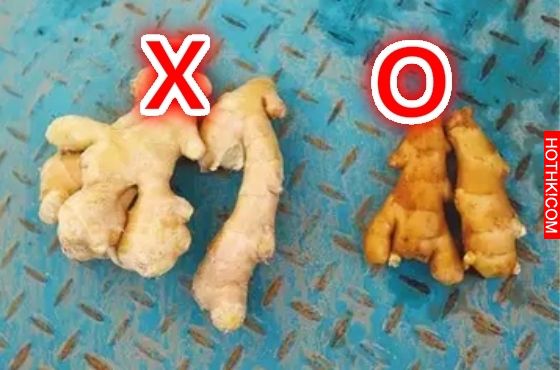 超強！只要熱水滴上幾滴....三秒處理掉梳子上的頭髮！它居然有19種新用途，平常我們都 ...