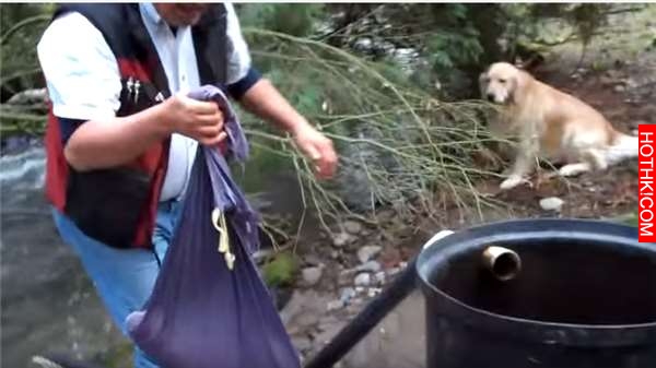 震撼！他把7萬顆「鮭魚卵」一口氣全放到孵化器中！沒想到他手撈起來的瞬間，所有人都 ...