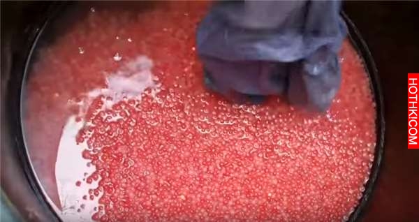 震撼！他把7萬顆「鮭魚卵」一口氣全放到孵化器中！沒想到他手撈起來的瞬間，所有人都 ...