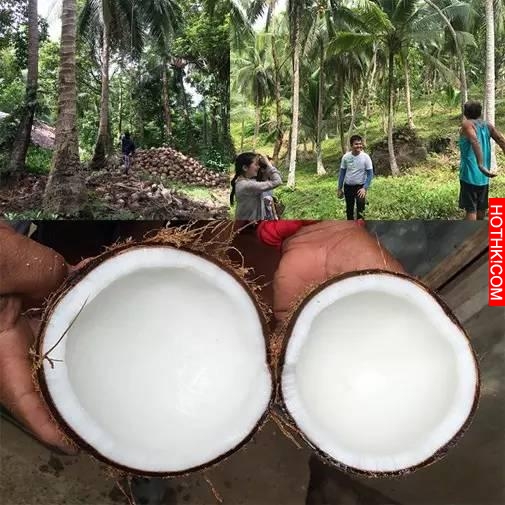 一瓶椰子油就能搞定你的生活？做飯、護膚、消炎、排毒用法大全看這裡！