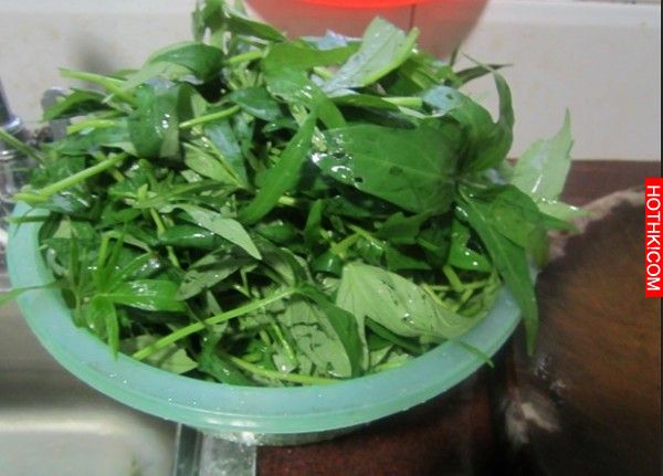 蒜炒蕃薯葉XI.jpg