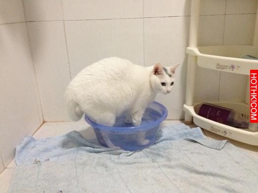 深蹲能提高性能力！ 你還在等什麼？ ！