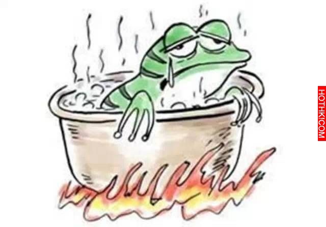 終於找全了！蝴蝶效應、青蛙現象、鱷魚法則、鯰魚效應、羊群效應、刺蝟法則...值得收 ...