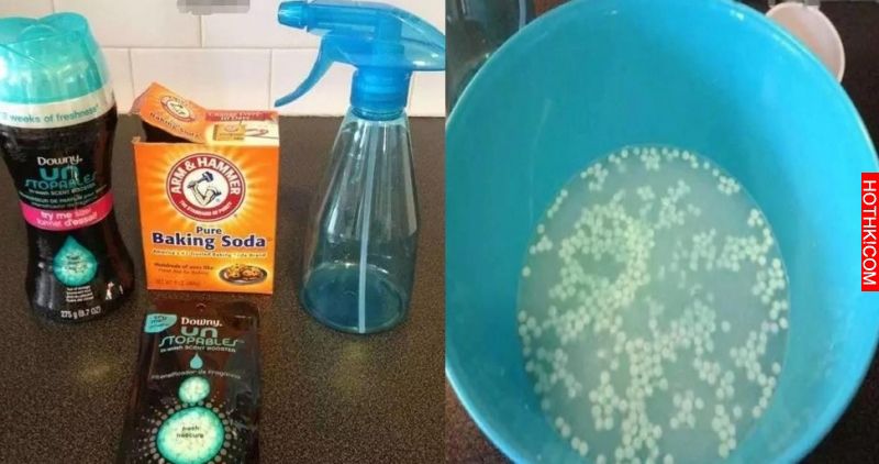 她的家裡365天都香噴噴，沒想到公開秘密後，大家全懊惱：為什麼我沒想到呢？ ...