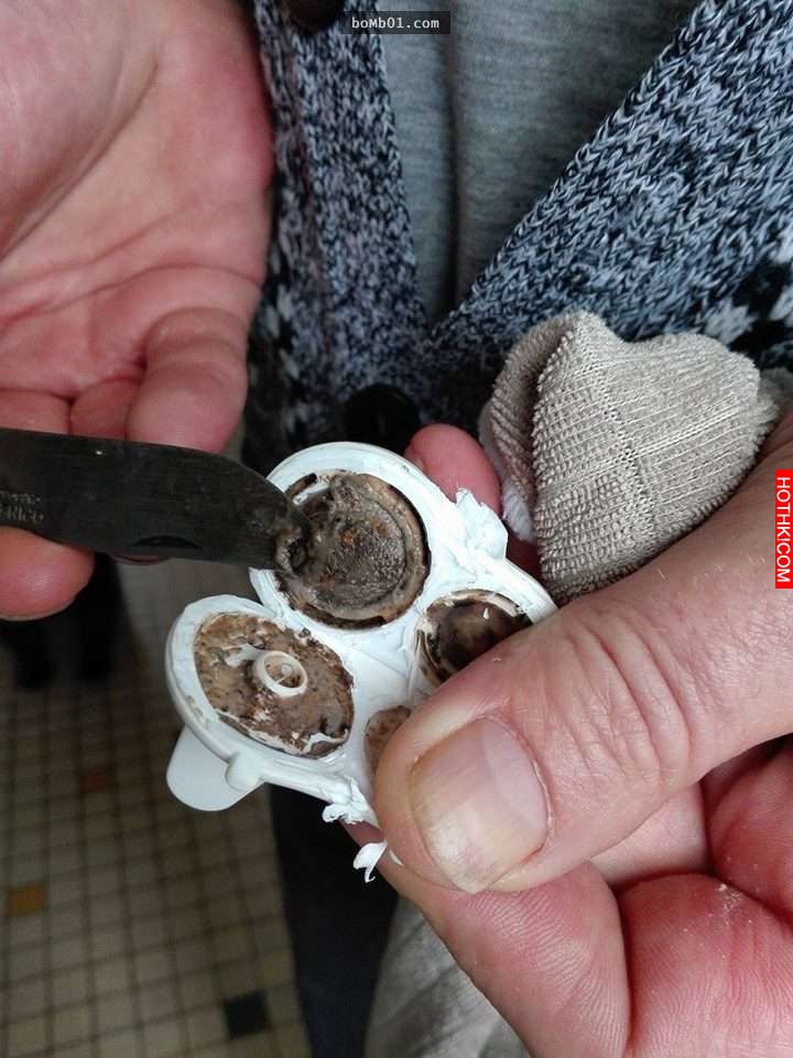 小女兒一直生病卻找不出原因，直到爸爸把「她的吸管杯分解」之後才發現驚人的可怕事實 ...