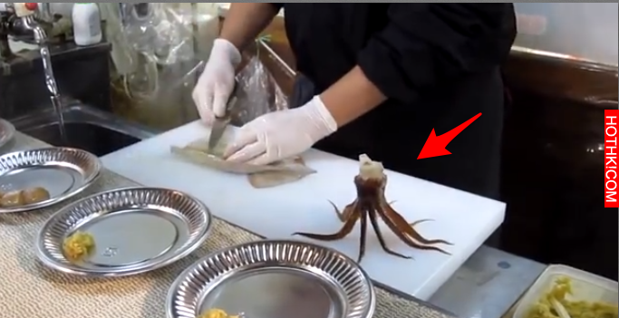 「八爪魚」親眼看到自己的身體被剝開切成碎片！沒想到下一秒發生的事，嚇得食客全都崩 ...