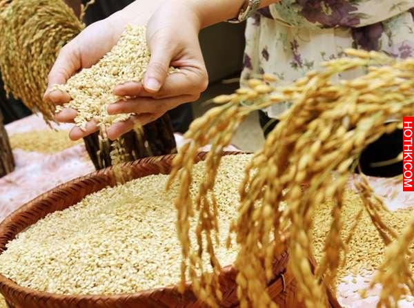 日本超厲害的減肥料理！吃一個星期瘦2公斤就連臉上的雀斑都沒了