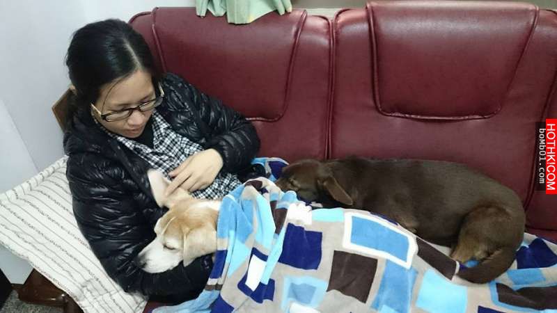 15歲的哈士奇因為得糖尿病身體不舒服，主人接下來對牠的「做的事」讓一堆人都看哭了！ ...