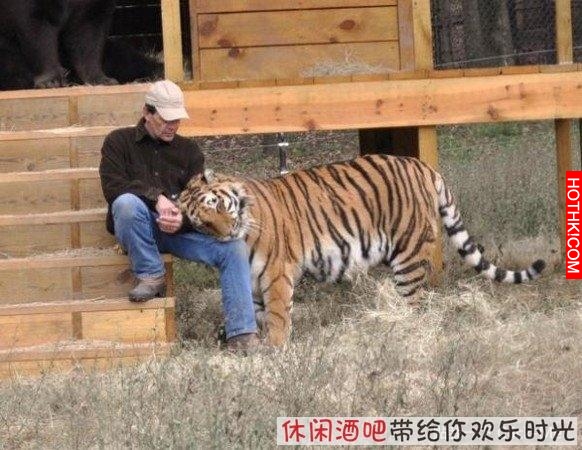 毒梟買下三隻猛獸想看他們自相殘殺，最後的結果讓你想像不到