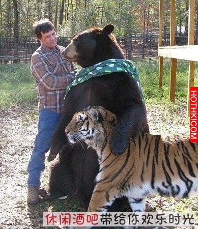 毒梟買下三隻猛獸想看他們自相殘殺，最後的結果讓你想像不到