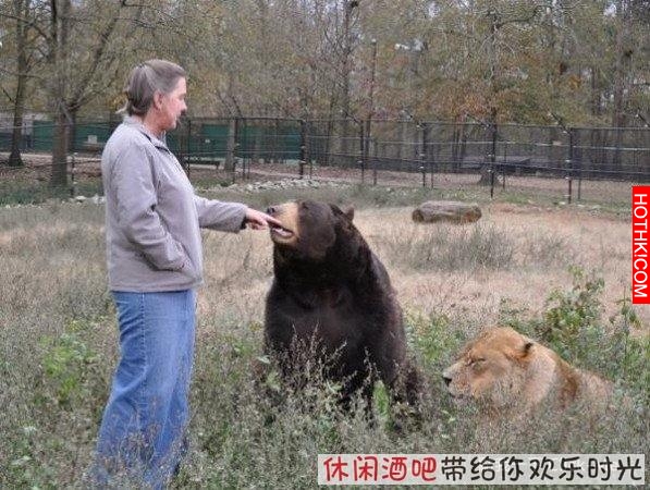 毒梟買下三隻猛獸想看他們自相殘殺，最後的結果讓你想像不到