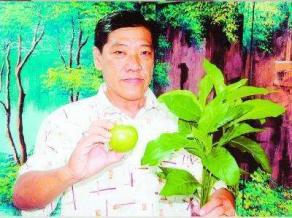 一天一片「南非葉」,保肝、保腎、降血壓血糖更能防癌?!真相竟然是...讓人看了超震驚 ... 一天一片「南非葉」,保肝、保腎、降血壓血糖更能防癌?!真相竟然是...讓人看了超震驚 ...