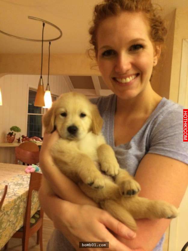 這隻黃金獵犬寶寶因為齒列不正「戴上牙套」時大家都在擔心，但牠之後咧嘴大笑的可愛模 ...