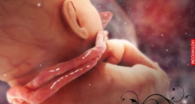 胎兒「玩臍帶」的理由竟然…讓人擔心又覺得可愛！！寶寶！還是別玩吧！ ...