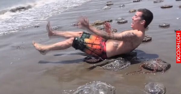 這男子看到沙灘上有大量「惡魔水母」屍體，下一秒悲劇就發生了 ...