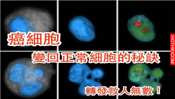 癌症不可怕!重要的是如何把癌細胞變回正常細胞，秘訣就在這!! 轉發救人無數！ ...