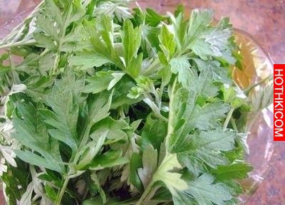 速傳！屋裡放一物，全家人「不再生病」！這「救命神草」不是叫假的！可惜90%的人都不 ...