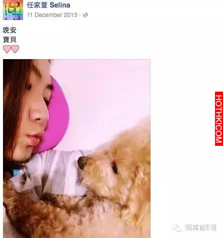 張承中就像當年的謝霆鋒，Selina卻比張柏芝高明得多